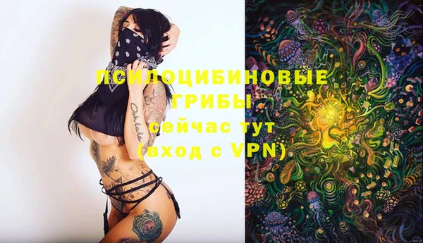 герыч Нязепетровск