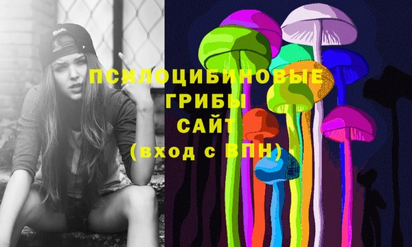 молекула духа Володарск