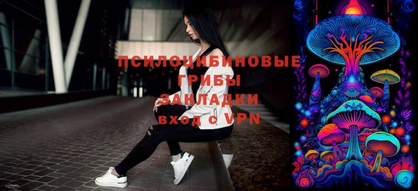молекула духа Волосово