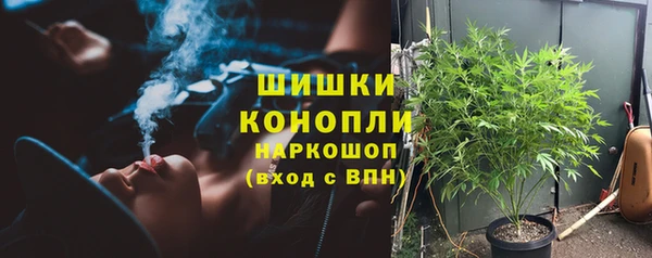 молекула духа Володарск