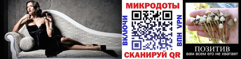 shop состав  Всеволожск  Псилоцибиновые грибы мицелий 