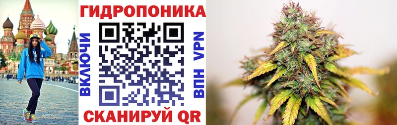 закладки  даркнет наркотические препараты  Бошки Шишки конопля  Всеволожск 